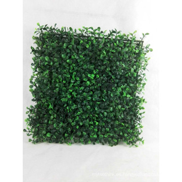 Alfombrilla de hierba Buxus de alta calidad, hierba Buxus, alfombrilla Buxus
